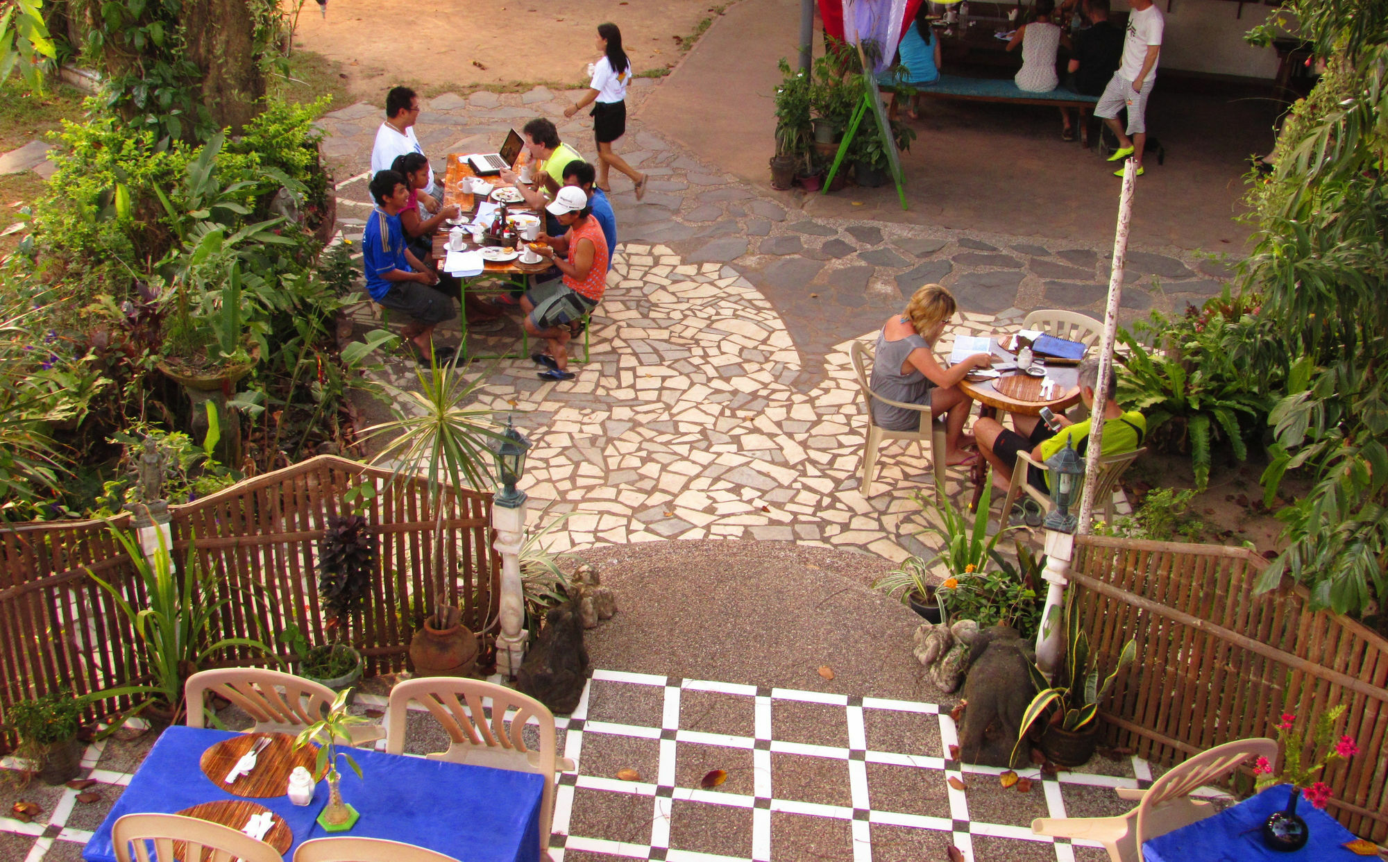Kokosnuss Garden