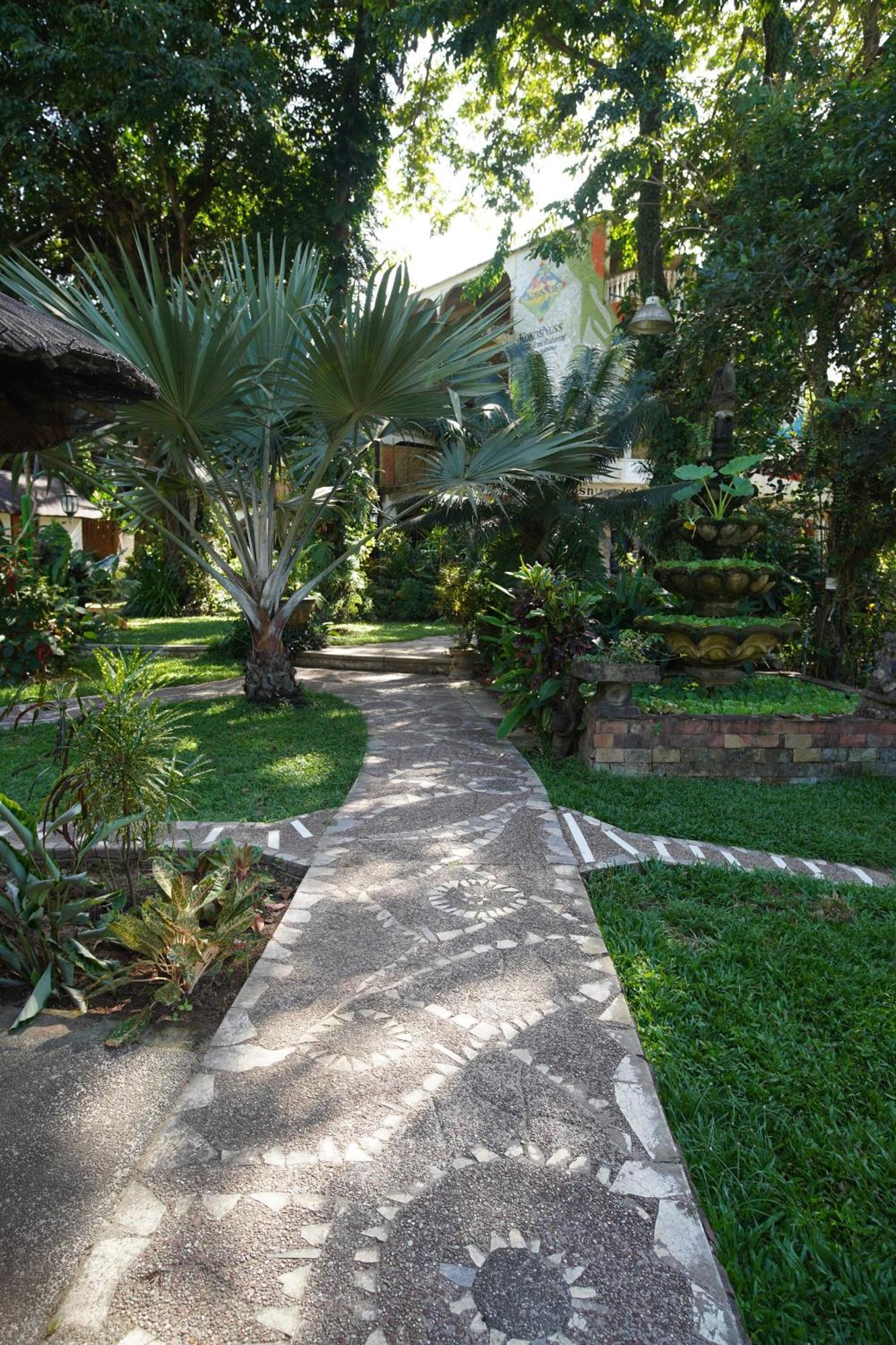 Kokosnuss Garden Coron