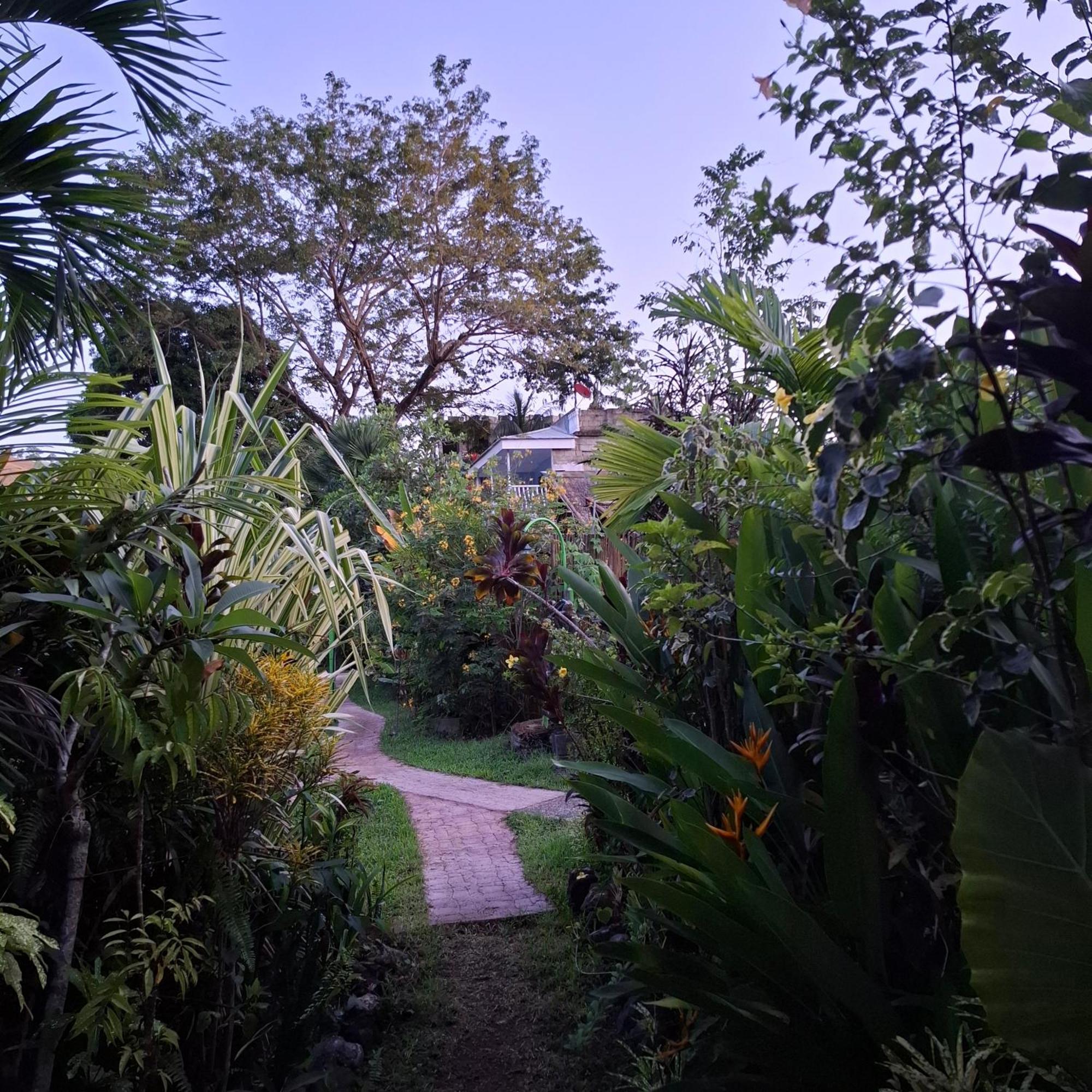 Kokosnuss Garden Resort Coron