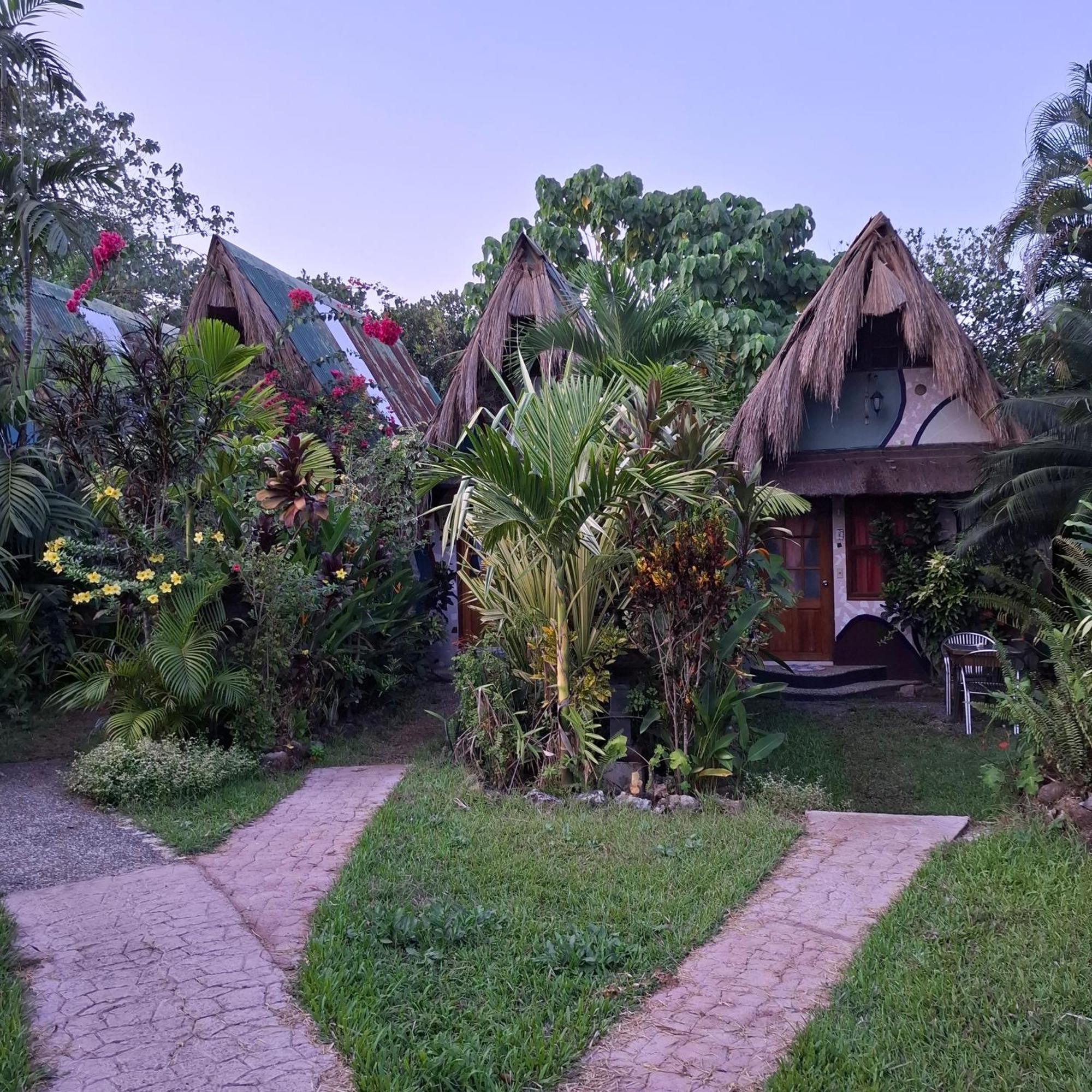 Kokosnuss Garden
